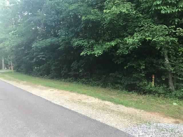 00 Cabin Cove Lane - Photo 1