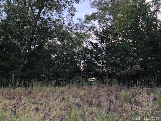 Lot 67 Lake Adger Parkway - Photo 1 Lot 67 Lake Adger Parkway - Photo 1