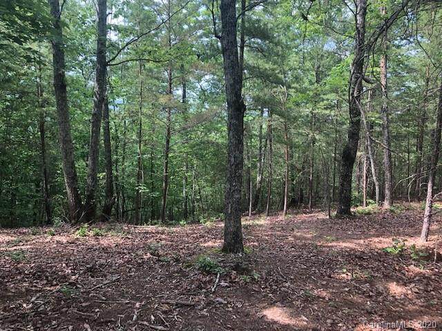 Lot 67 Lake Adger Parkway - Photo 1