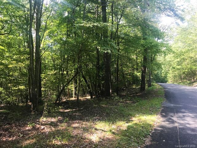 LOT 5 Whitney Boulevard - Photo 1