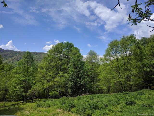 000 Little Pine Road - Photo 1