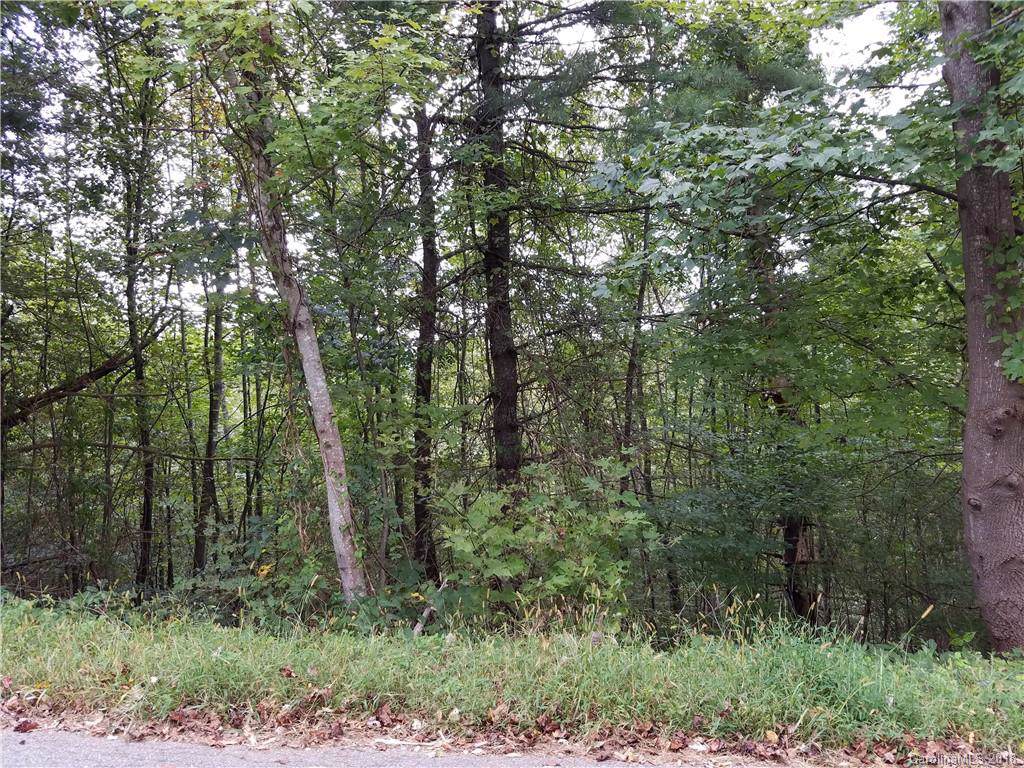 Lot 6 Pine Ridge Road - Photo 1