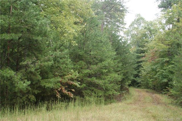00 Staton Ridge Road - Photo 1