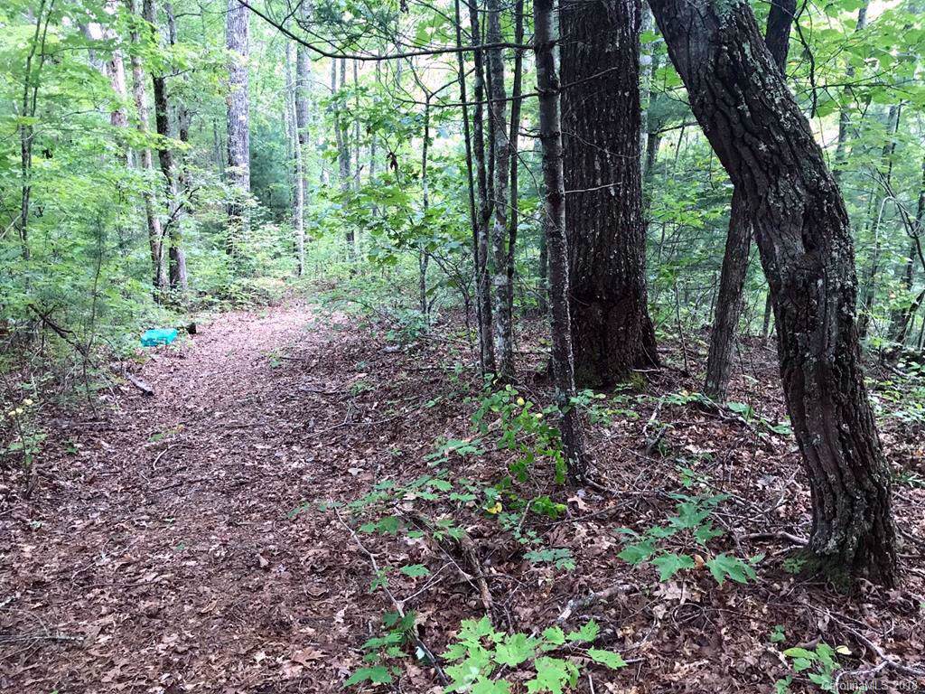 Lot #5 Old Yellow Branch Road - Photo 1