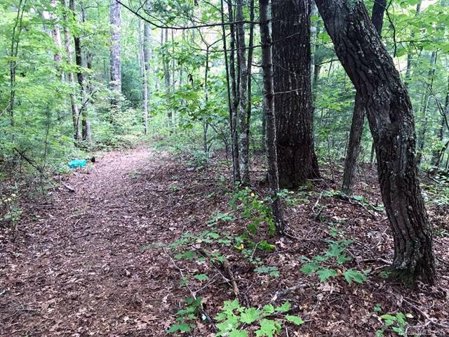 Lot #5 Old Yellow Branch Road - Photo 1