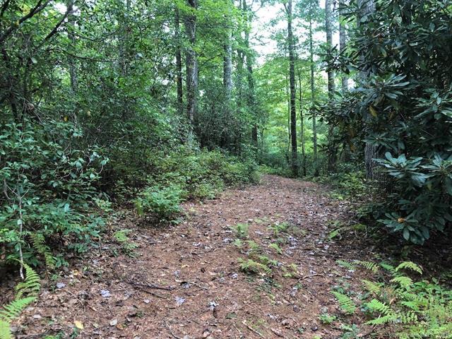 TBD Dragon Tail Drive - Photo 1