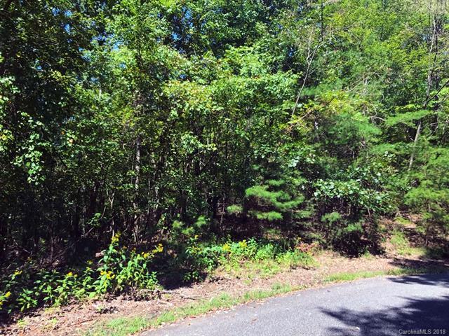 LOT 11 Crab Apple Court - Photo 1