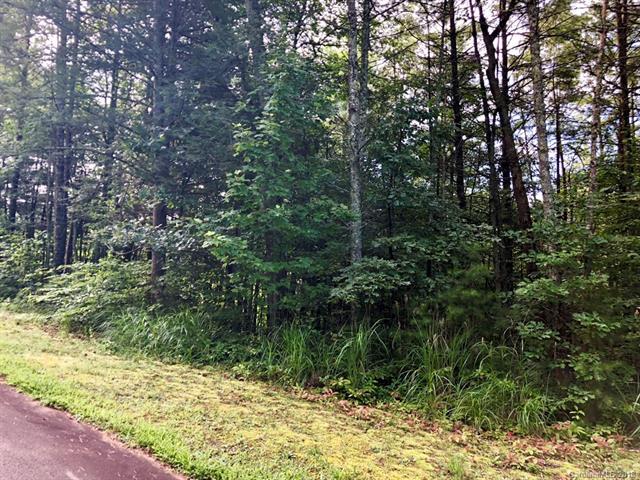 99999 Settlers Trail - Photo 1