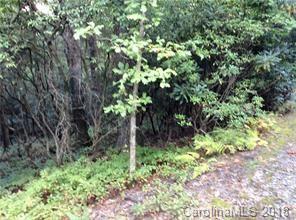 Lot #20 Salola Lane - Photo 1