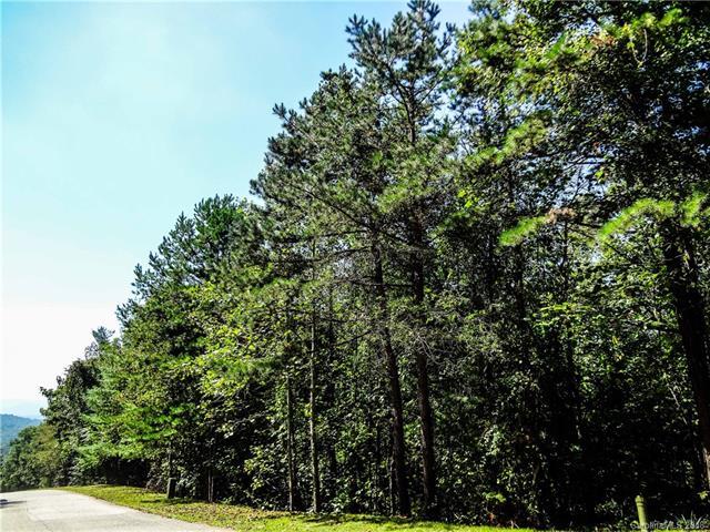 36 Elk Mountain Ridge - Photo 1