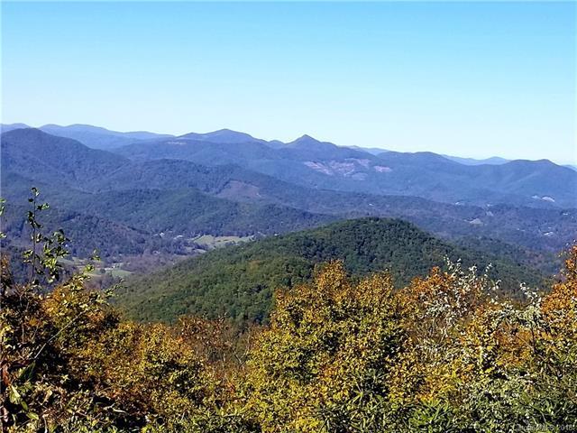 26.81 Acres OFF Black Oak Cove Road - Photo 1