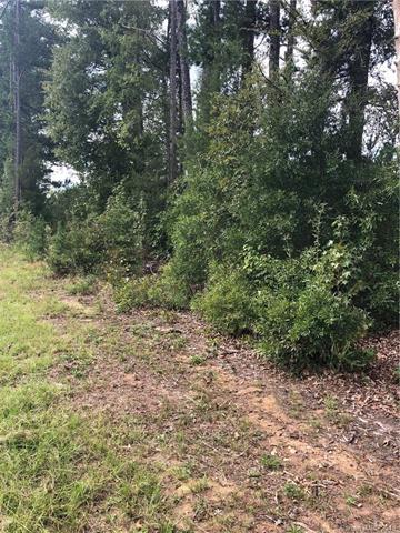 0 Southbound Road - Photo 1