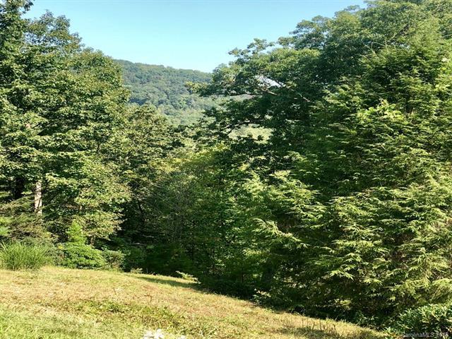 Lot 16 Deer Trail - Photo 1