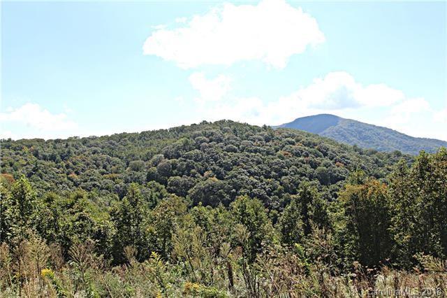 TBD Sugar Mountain Road - Photo 1