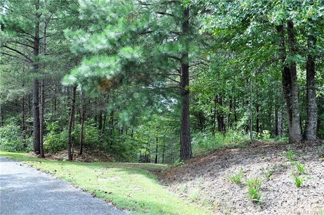 288 Observation Ridge - Photo 1