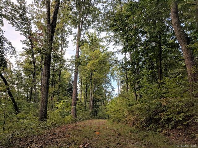 15+ Acres on Rocky Knob Road - Photo 1