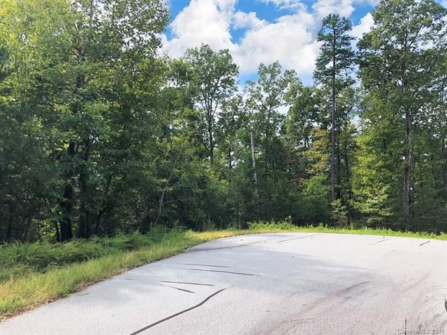 V/L Cove Forest Road - Photo 1
