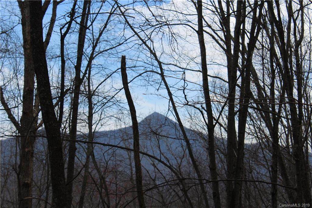 38.54 acres Sams Branch Road - Photo 1