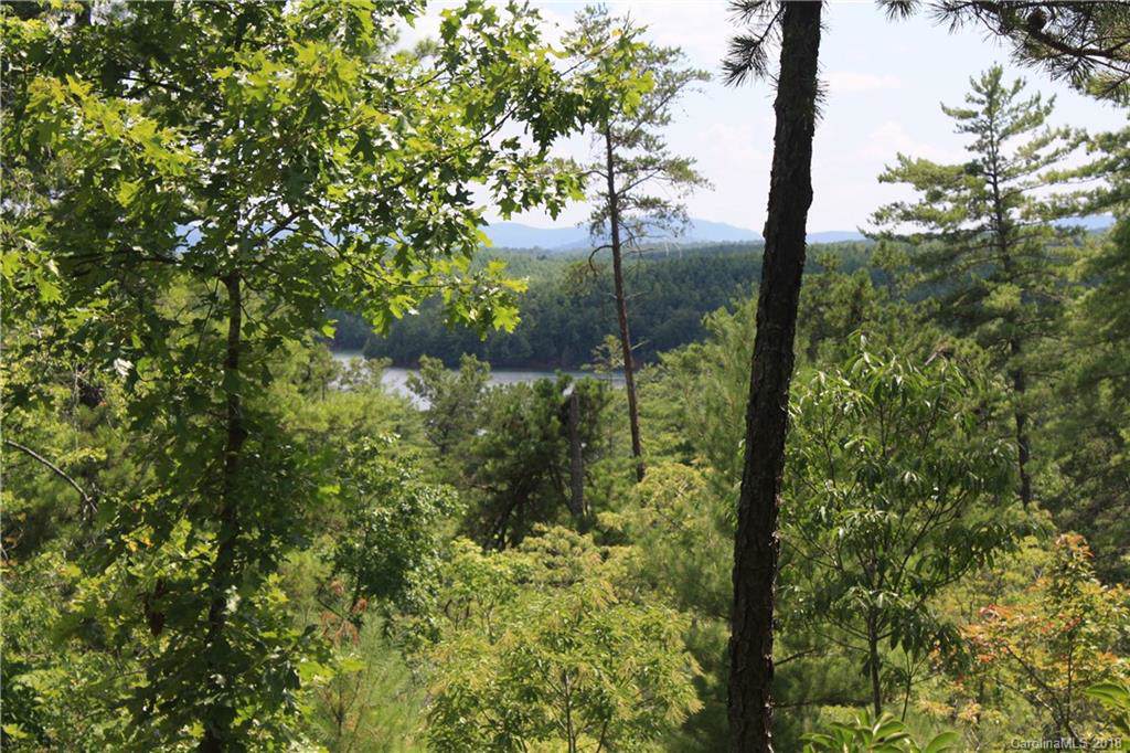 2036 Catawba Trail - Photo 1