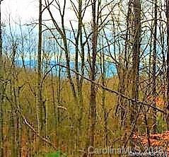 000 Elk Mountain Scenic Highway - Photo 1