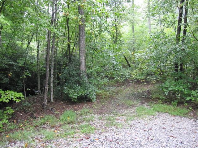 TBD Rhododendron Drive - Photo 1