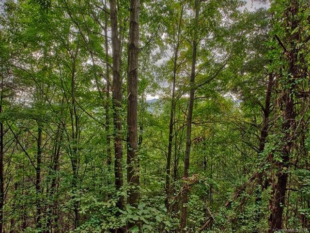 0 Roberts Mountain Road - Photo 1