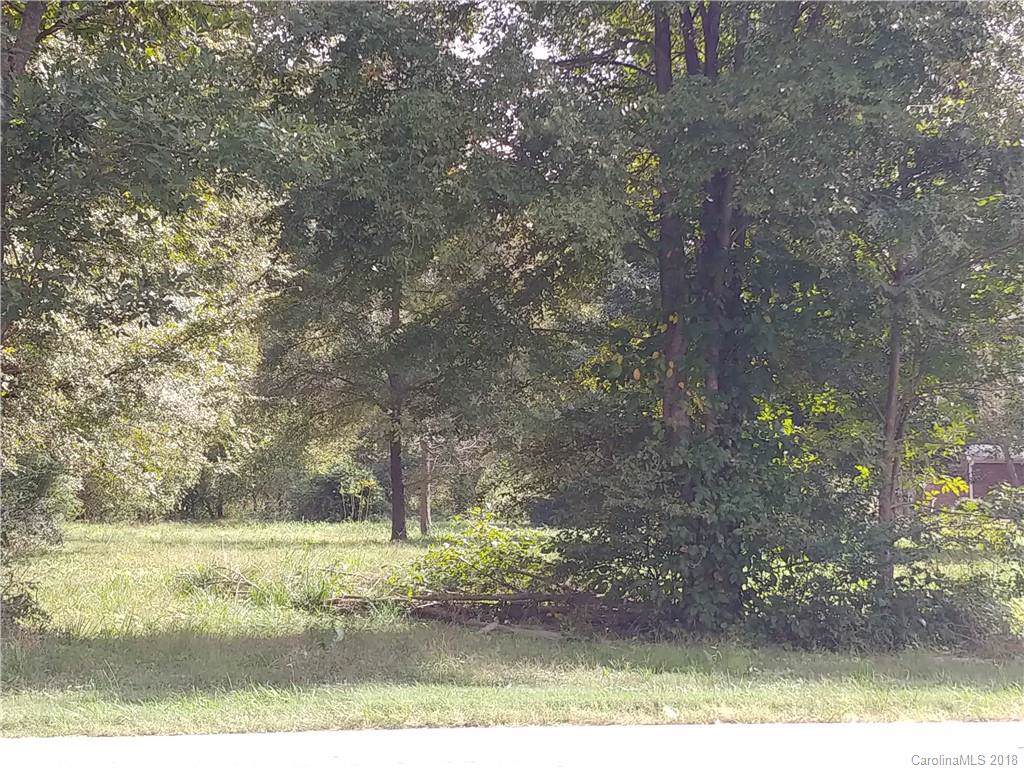 0 Branchview Drive - Photo 1