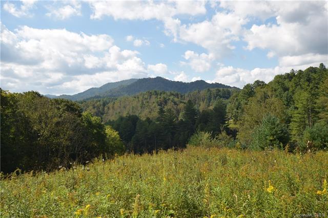 00 Tall Timber Lane - Photo 1