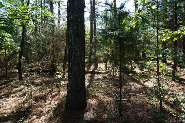 Lot 1 Will Jones Circle - Photo 1