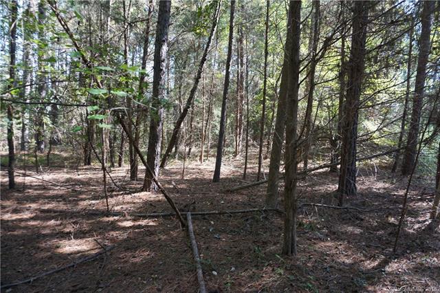 Lot 1 Will Jones Circle - Photo 1