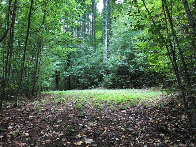 Lot 330 Mountain Lake Drive - Photo 1