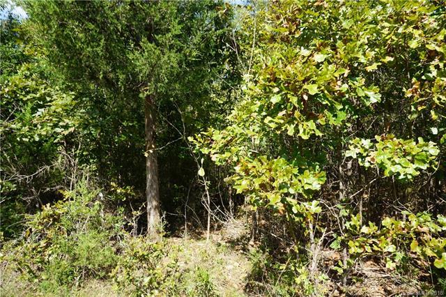 9 AC Wylies Mill Road - Photo 1