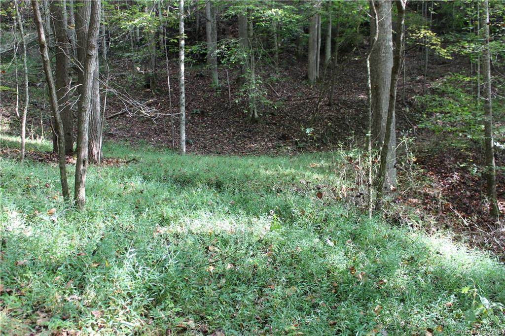 L76 Cane Mountain Road - Photo 1 L76 Cane Mountain Road - Photo 1