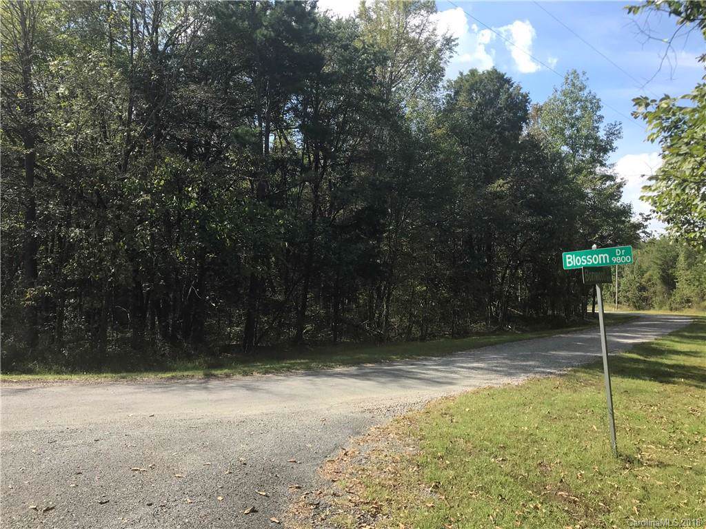 10B11B Blossom Drive - Photo 1