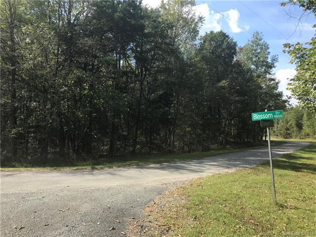 10B11B Blossom Drive - Photo 1