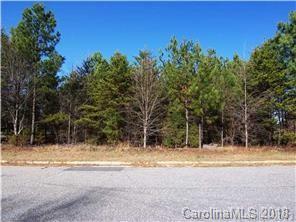 Lot 6 Huntsman Court - Photo 1