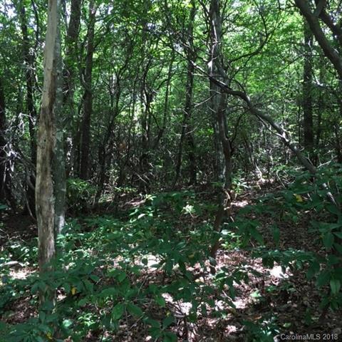 Lot 256 Cliff Ridge Drive - Photo 1