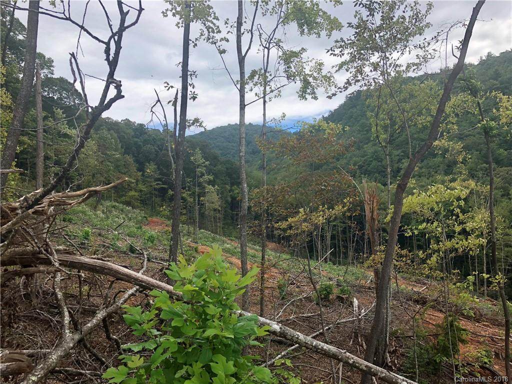 0 Kirby Mountain Road - Photo 1