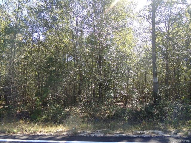 TBD Will Evans Road - Photo 1