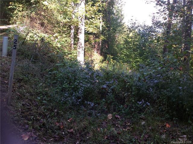 0000 Appalachian Trail - Photo 1