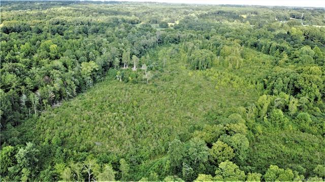 00 Ansonville Road - Photo 1
