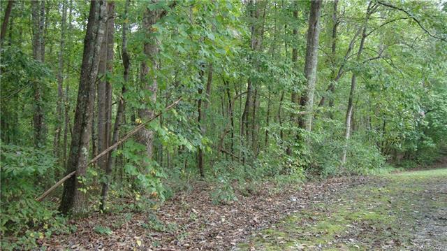 00 Puett Chapel Road - Photo 1