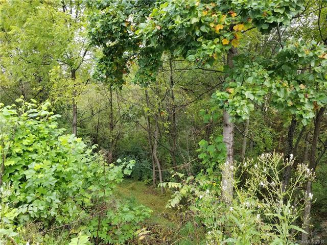 45 Wildwood Park - Photo 1