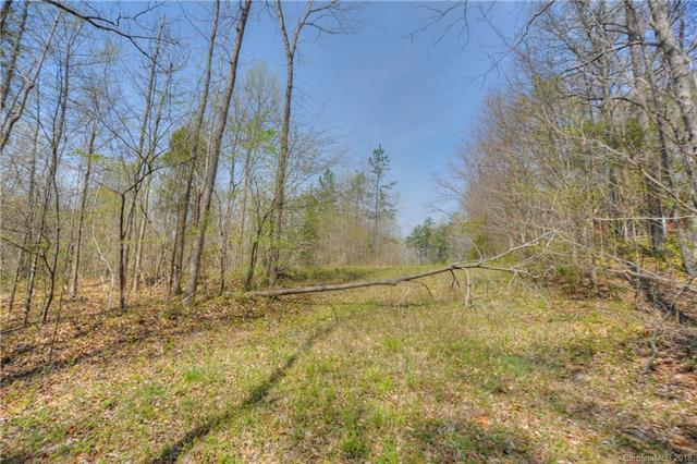 00 Asbury Chapel Road - Photo 1