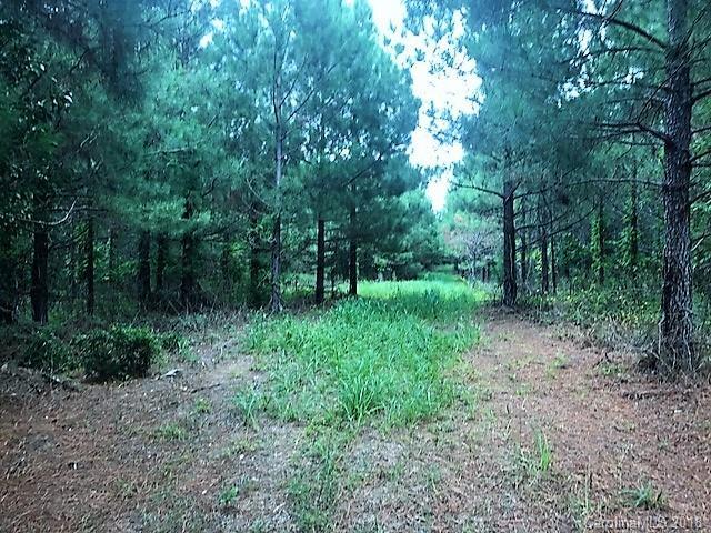 0 Lower White Store Road - Photo 1