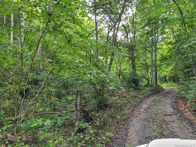 00 Buffalo Ridge - Photo 1