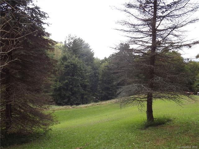 701 Winding Branch Trail - Photo 1