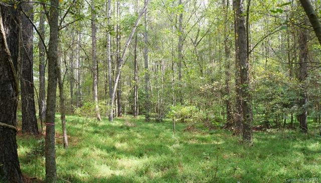 6005 Chimney Bluff Road - Photo 1