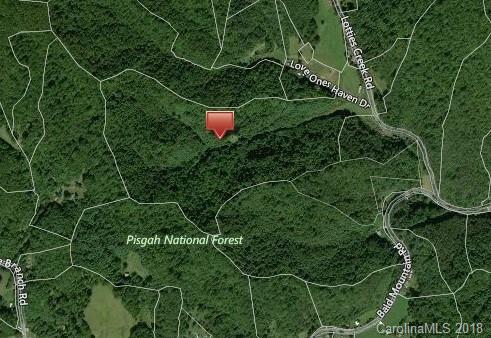 00000 Lotties Creek Road - Photo 1
