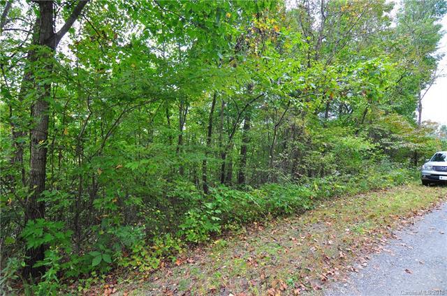 00 Pine Tree Drive - Photo 1